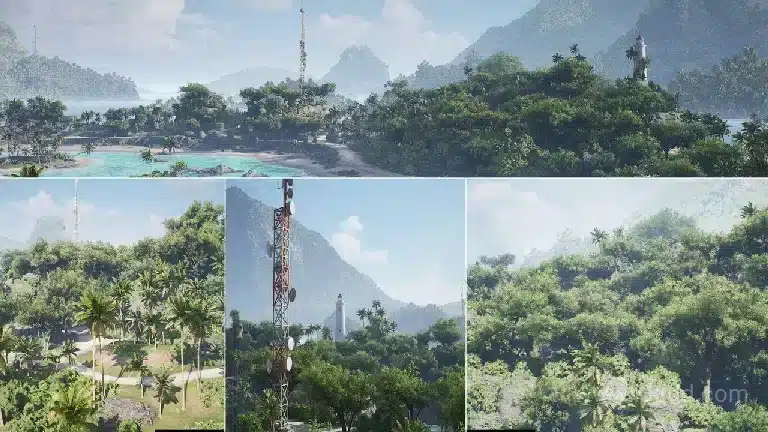 太平洋热带海岛屿石暴风雨森林椰树 Tropical Island