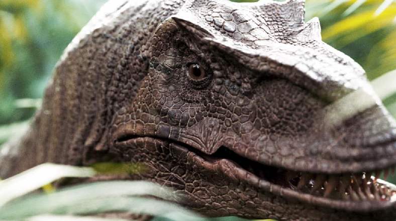 迅猛龙 3D 模型（写实已绑定） – Raptor Dinosaur Realistic Rigged 3D Model