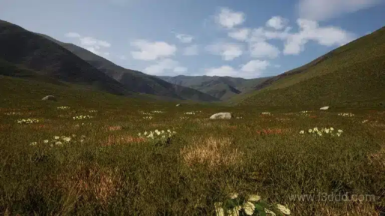 225 平方公里草原生态系统 225 Square Km Grassland Ecosystem