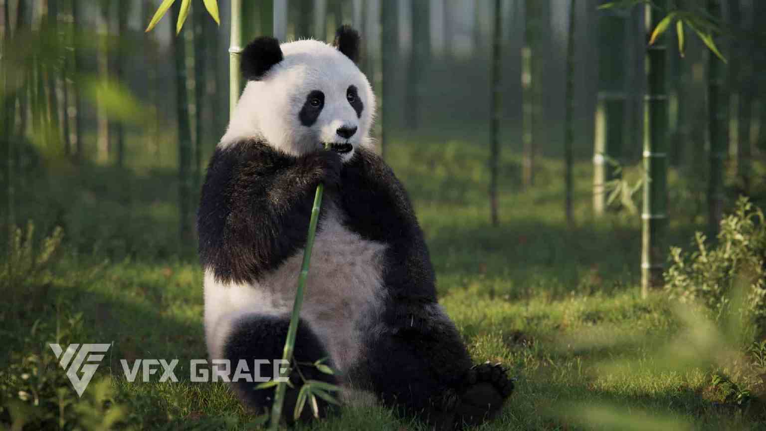 熊猫绑定动画模型 – Panda Rigged Animated