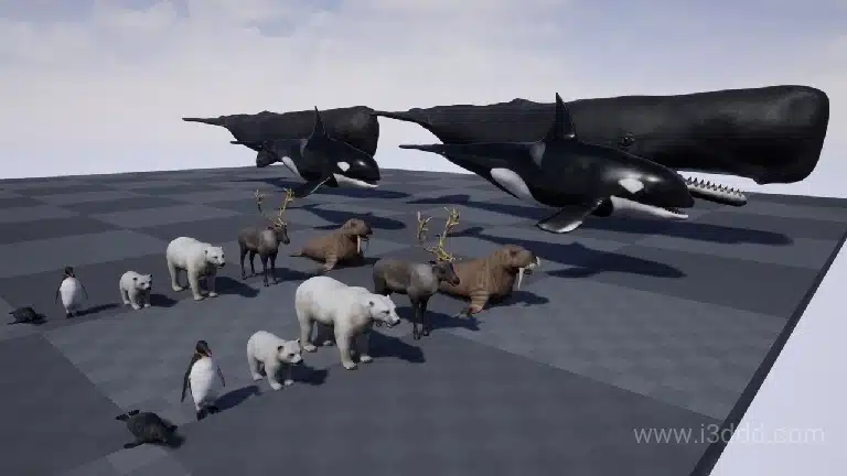 抹香鲸虎鲸企鹅北极熊驯鹿海豹海象 – Arctic Animal Pack