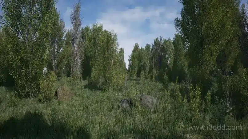 杨树群树木森林模型 – Poplars Pack