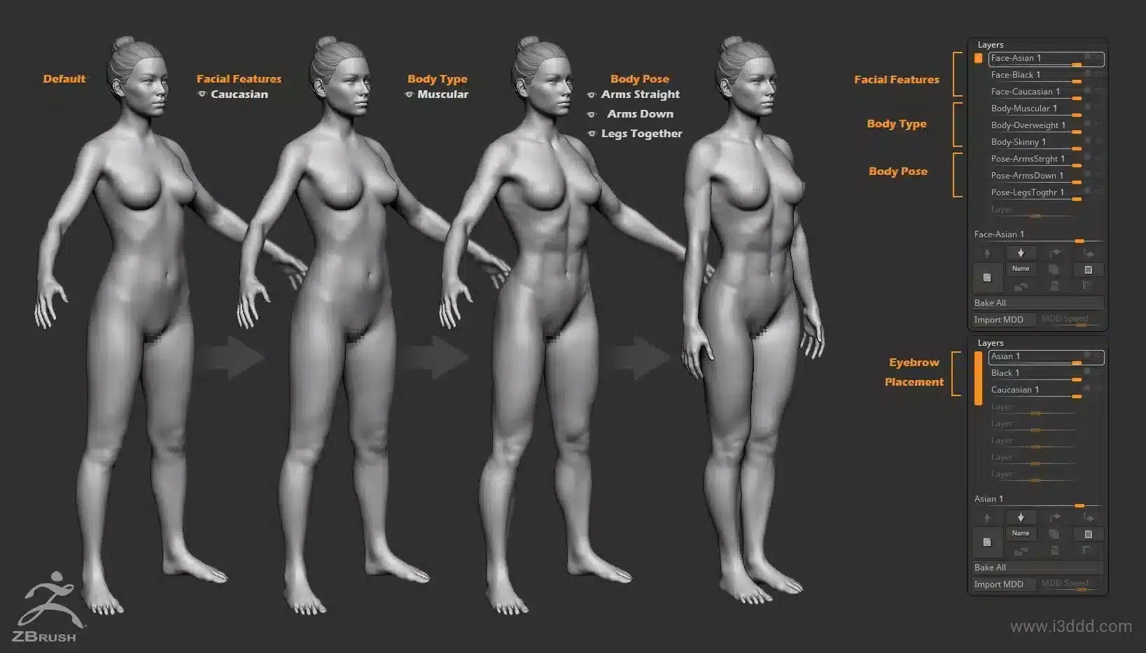 女性自定义基础网格 – Female Custom Basemesh