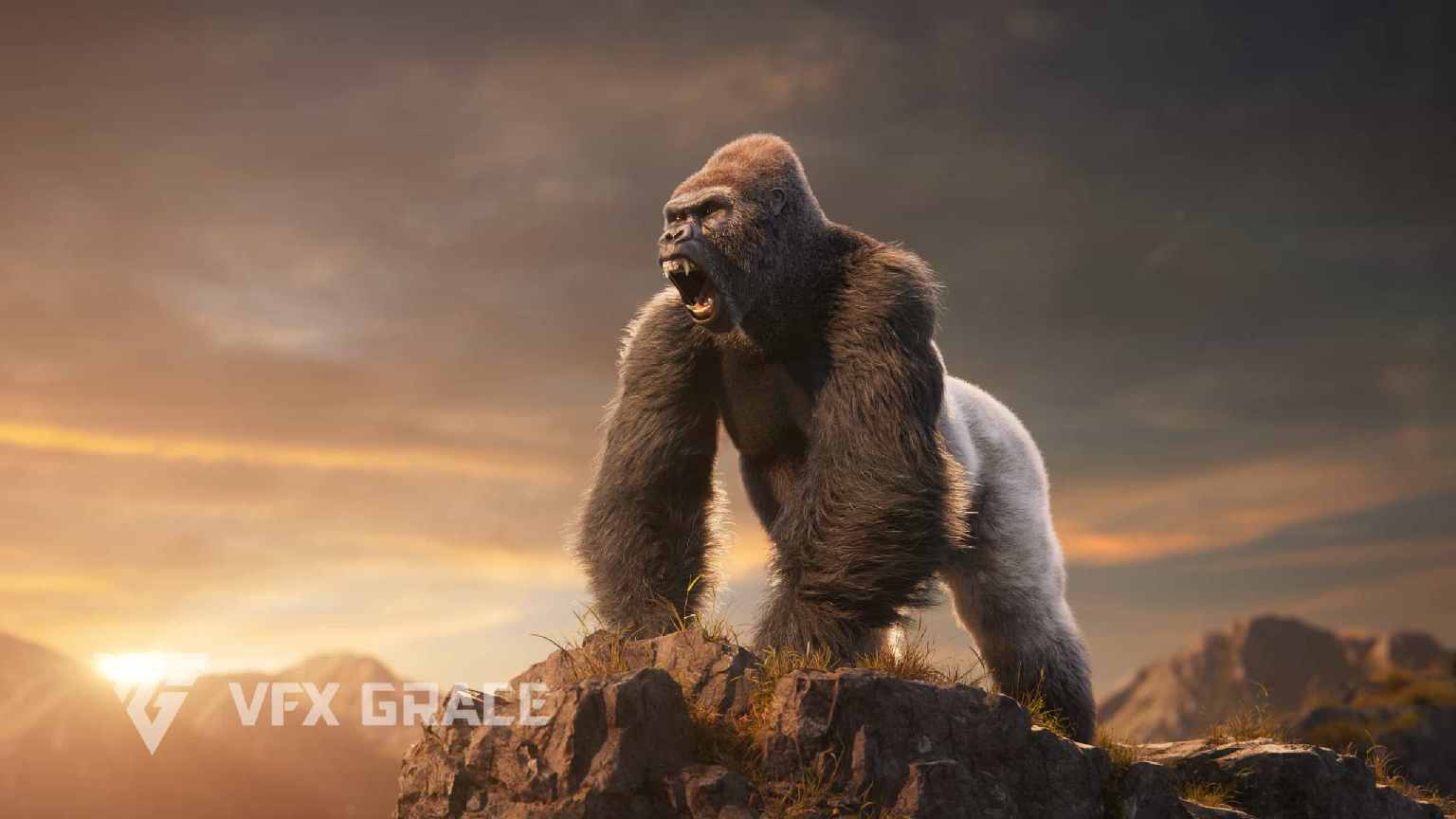 银背大猩猩 3D 模型 – Silverback Gorilla 3D Model