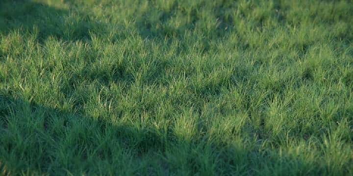 Blender 真实草地 – Real Grass v1.0