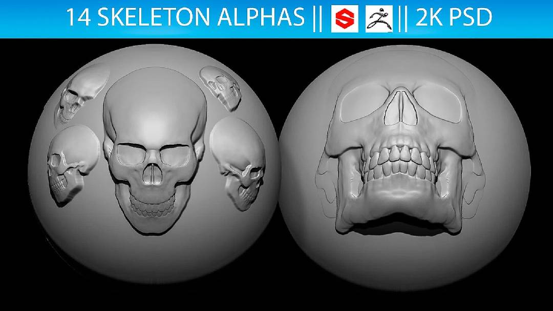 14 款骷髅 Alphas 第二卷 – 14 Skeleton Alphas Vol.2 (ZBrush, Substance, 2K)