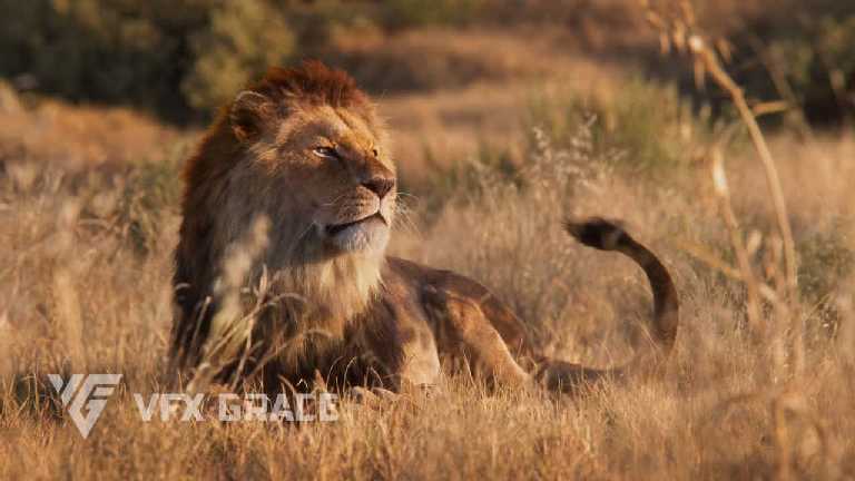 狮子动画（视觉特效优雅） – Lion Animated | VFX Grace