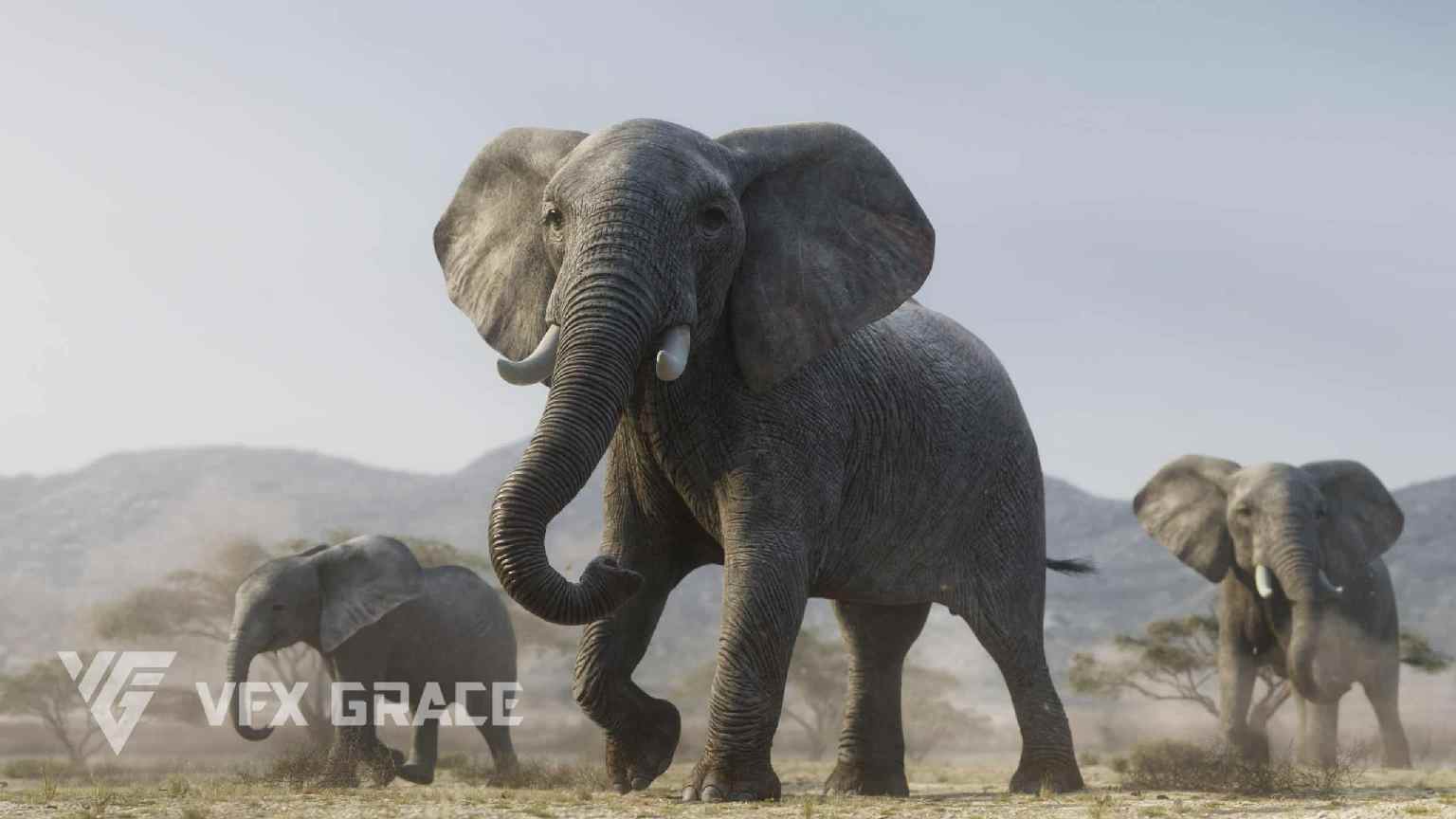 非洲象动画 3D 模型 – African Elephant Animated 3D Model