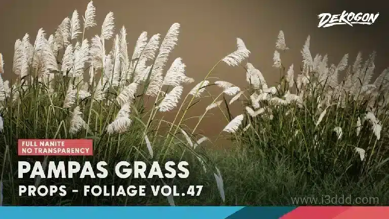 植物 蒲苇草 – Foliage VOL.47 – Pampas Grass