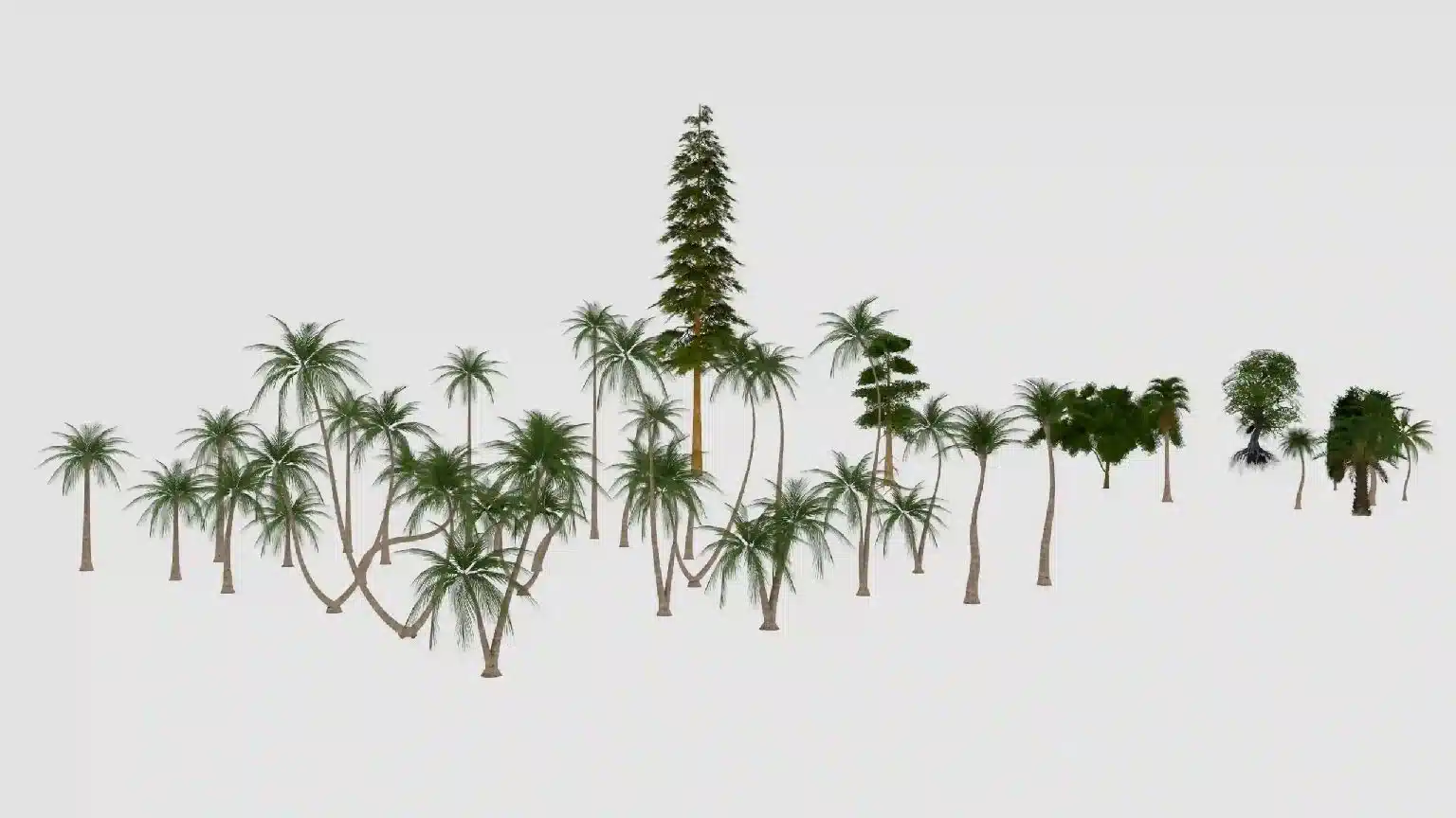 春季树木合集 – Next Spring Tree Collection