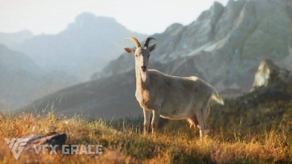 山羊 01 动画模型 – Goat 01 Animated