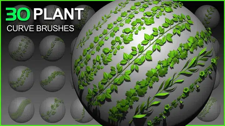 30 款植物曲线笔刷套装 – 30 Plant Curve Brushes