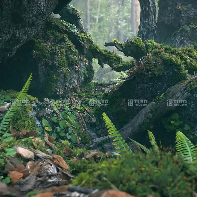 Blender枯木石头苔藓自然资产库