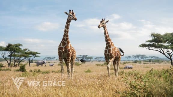 长颈鹿动画模型（视觉特效优雅） – Giraffe Animated | VFX Grace