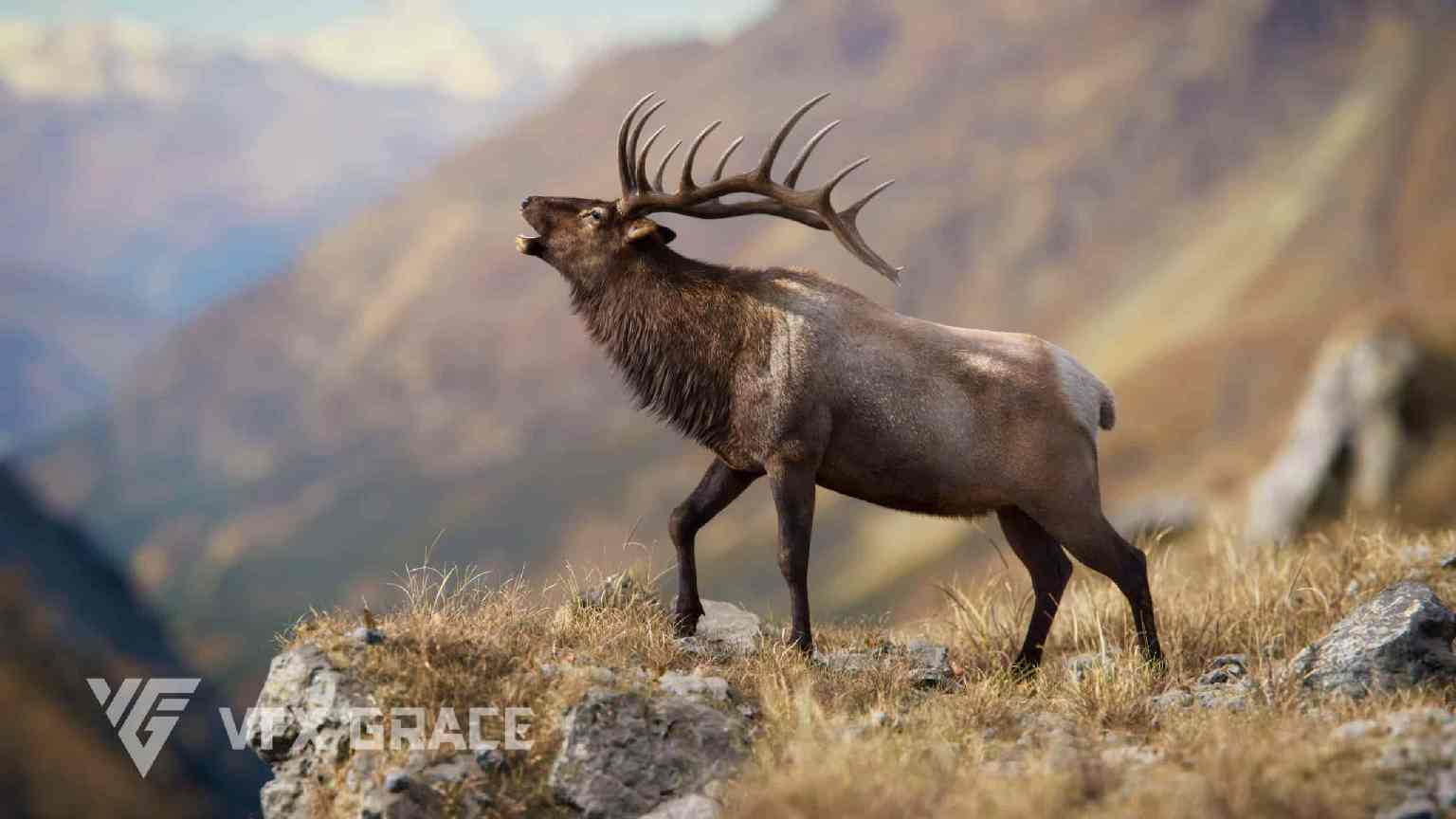 雄性麋鹿动画模型（Blender 3D） – Male Elk Animated | Blender 3D Model