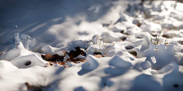 程序化积雪生成器 – Procedural Snow Generator