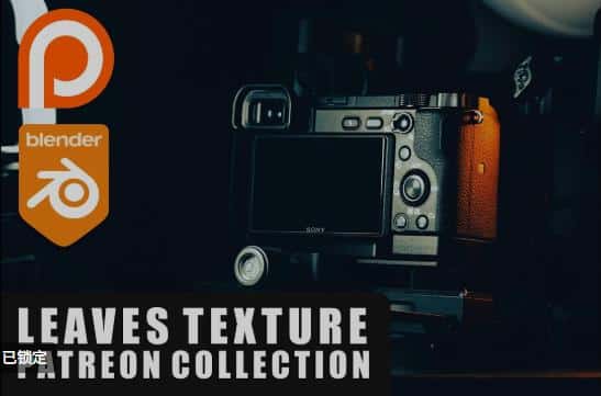 树叶纹理合集 01 – Leaf Texture Collection 01