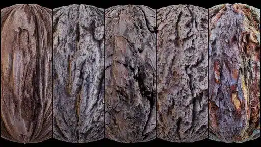 100 款树皮材质包 – 100 Bark Texture