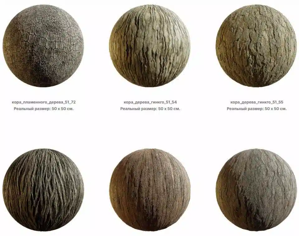 东亚树皮纹理合集 – East Asian Tree Barks